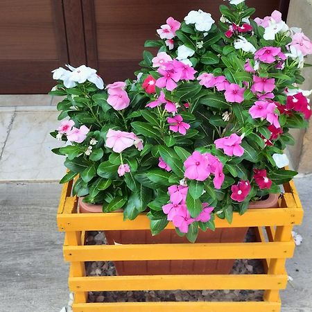 La Casa Di Anita Nel Cuore Di Segesta Calatafimi Habitación foto